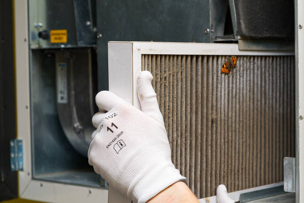 Best Emergency Air Duct Cleaning  in Largo, MD