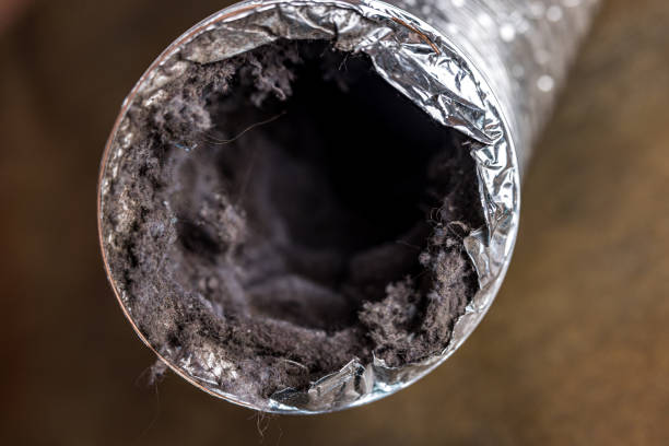 Best HVAC Maintenance and Cleaning  in Largo, MD